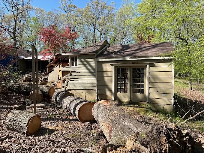 Tree damage on house